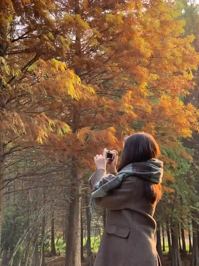 疯狂兔子下载游戏界面