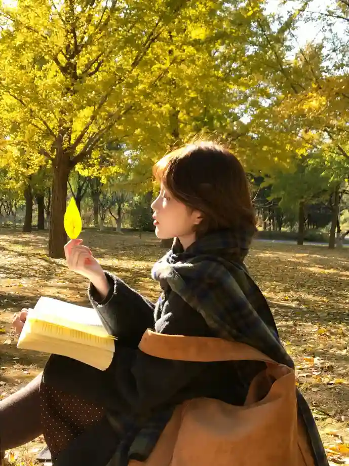 陌陌用户增长趋势